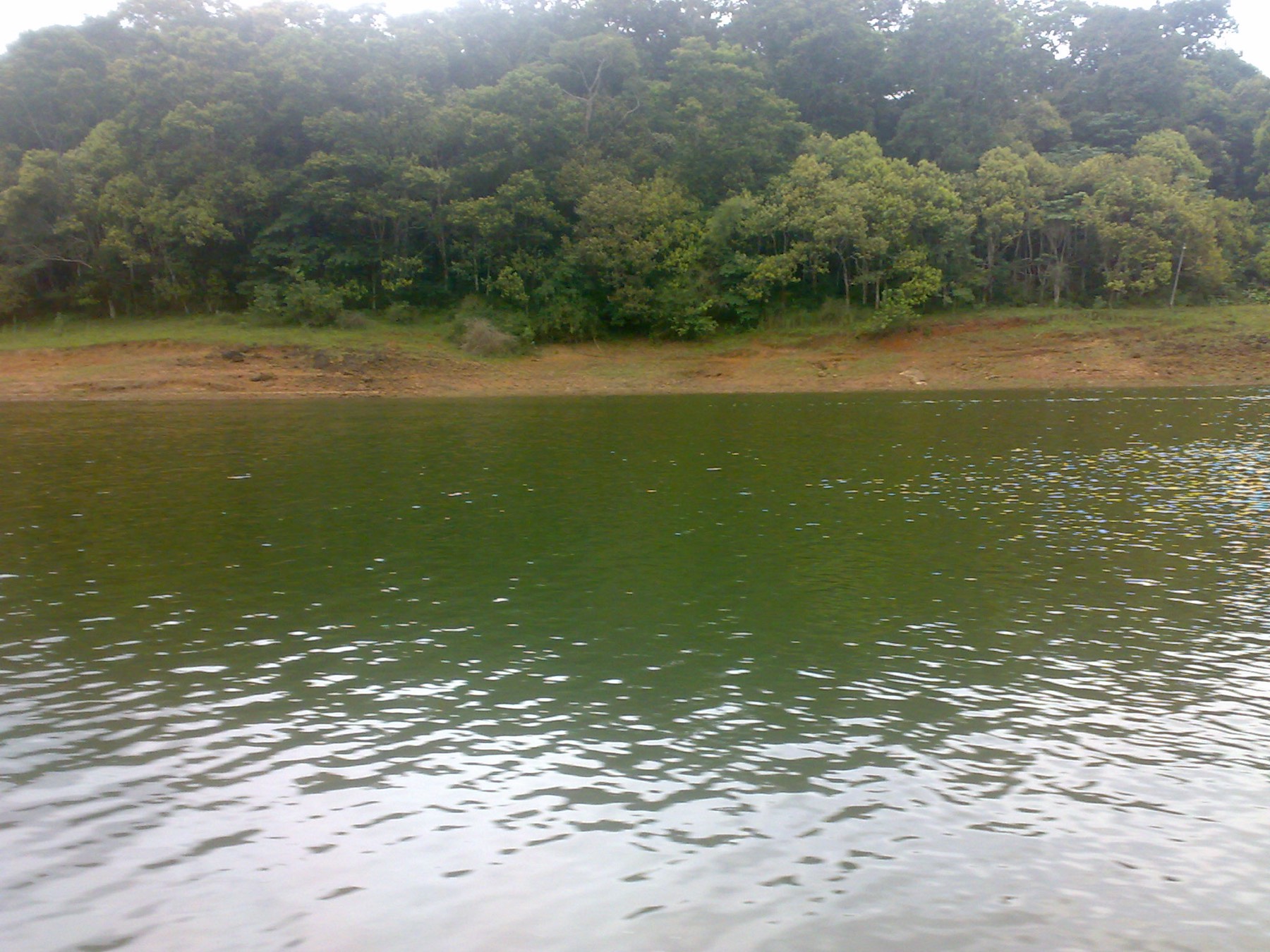 Wide view of the Periyar reservoir, the lake formed by the Mullaperiyar Dam since 1895