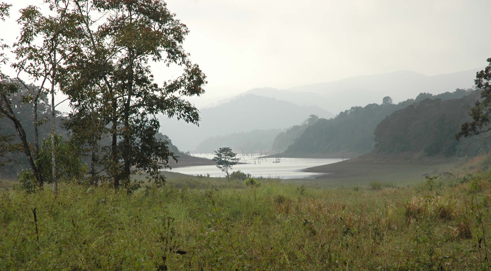 Landscape view inside Periyar National Park, showing the tiger reserve's forested hills surrounding the reservoir